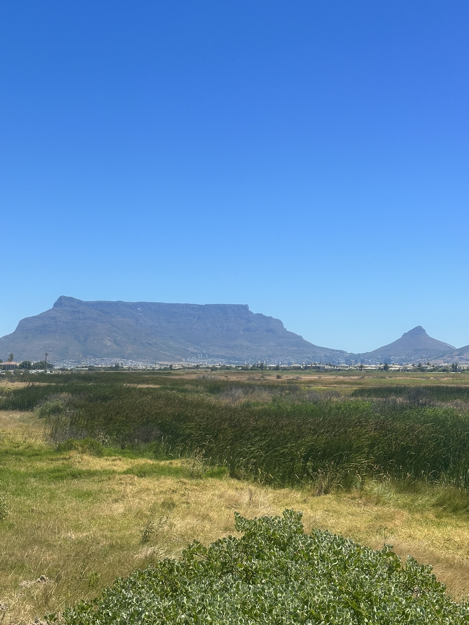 South Africa - Image 4